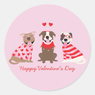 Happy Valentines Day American Pit Bull Terriers Classic Round Sticker
