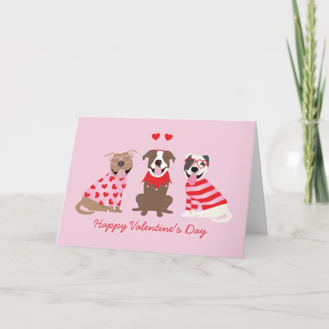Happy Valentines Day American Pit Bull Terriers Holiday Card (Front)