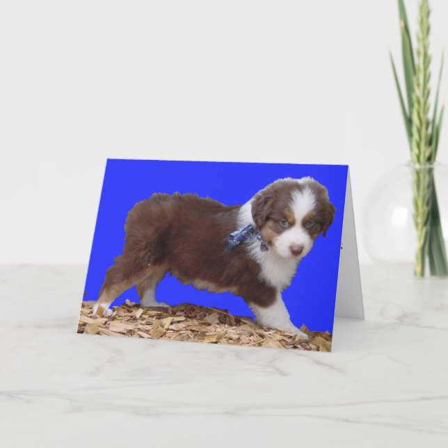 Happy Valentine's Day Aussie Holiday Card (Front)