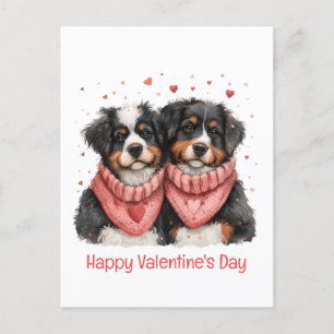 Happy Valentines Day Bernese Mountain Dogs Postcard