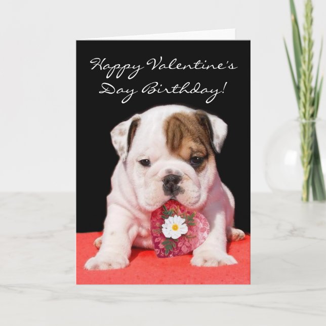 Happy Valentine's Day Birthday bulldog puppy card (Front)
