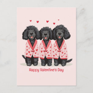 Happy Valentines Day Black Standard Poodle Dogs Holiday Postcard