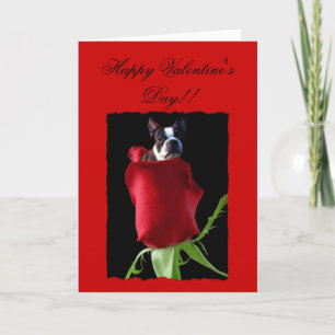 Happy Valentine's Day Boston Terrier Greeting Card