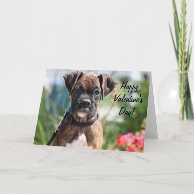 Happy Valentine's day boxer greeting card (Front)