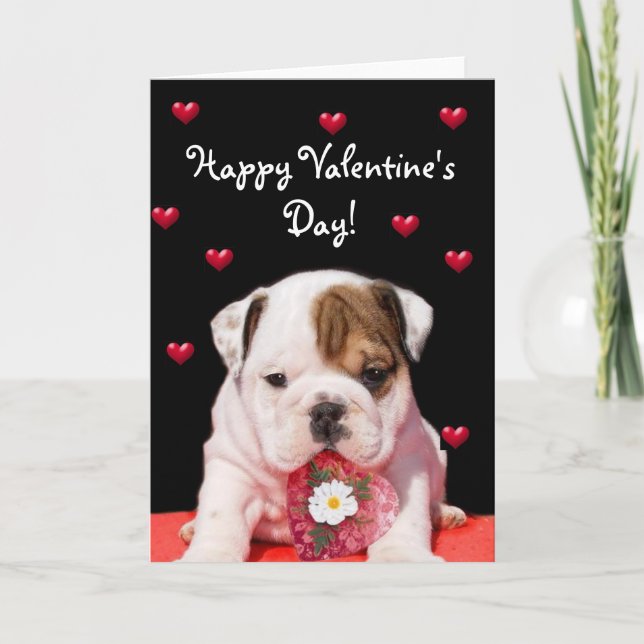 Happy Valentine's Day Bulldog greeting card (Front)