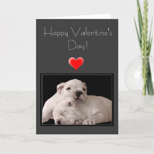 Happy Valentine's Day Bulldog Greeting Card