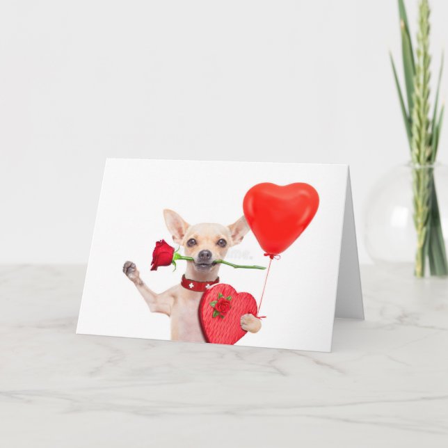 Happy Valentines Day Card Cute Chihuahua With Rose (Front)