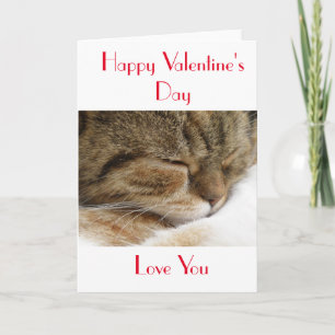 Happy Valentine's Day Cat Card