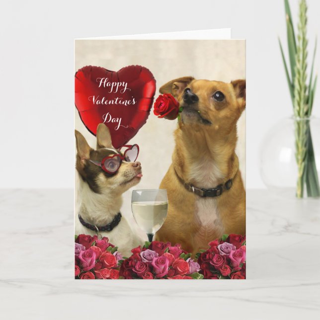 Happy Valentine's day chihuahua dogs card (Front)