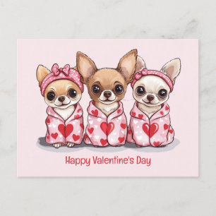 Happy Valentines Day Chihuahua Dogs Postcard