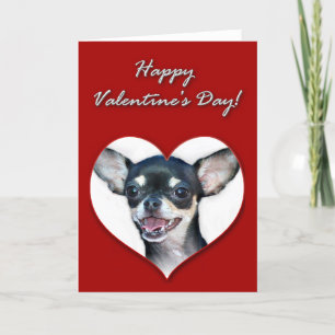 Happy Valentine's Day Chihuahua Holiday Card