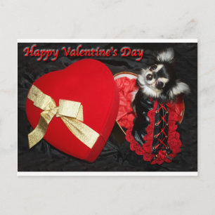 Happy Valentine's Day Chihuahua Holiday Postcard
