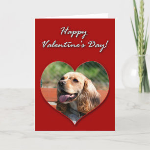 Happy Valentine's day Cocker Spaniel Card
