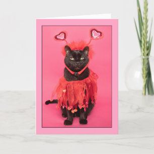 Happy Valentine's Day Cute Cat Dressed in Hearts  Holiday Card