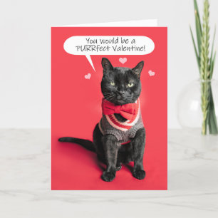Happy Valentine's Day Cute Cat Dressed Up Humour Holiday Card