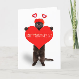 Happy Valentine's Day Cute Cat Holding Heart Humou Holiday Card