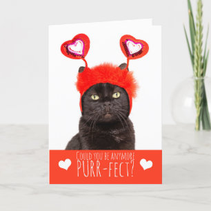 Happy Valentine's Day Cute Cat in Heart Headband Holiday Card
