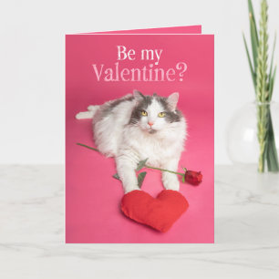 Happy Valentines Day  Cute Cat With Heart Holiday Card