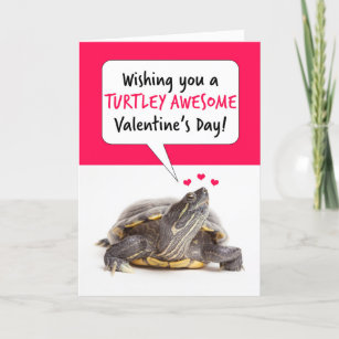 Happy Valentine's Day Cute Turtle Humour Holiday Card