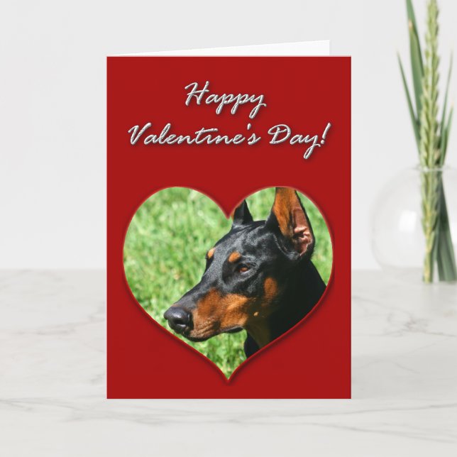 Happy Valentine's day Doberman Pinscher card (Front)