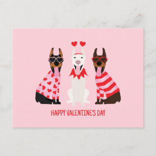 Happy Valentines Day Dobermann Dogs Postcard