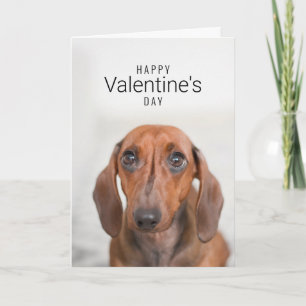 Happy Valentine's Day   Dog Face   Add Your Name Thank You Card