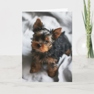 Happy Valentine's Day   Dog Face   Add Your Name Thank You Card