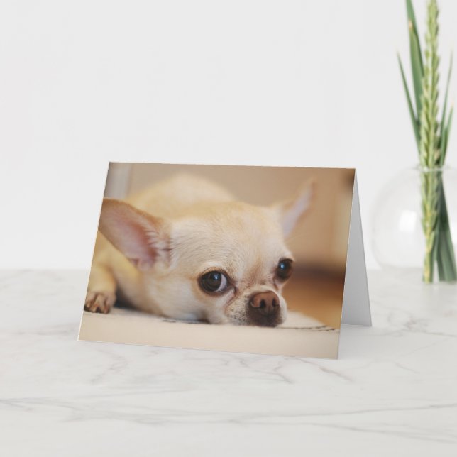 Happy Valentine's Day | Dog Face | Add Your Name Thank You Card (Front)