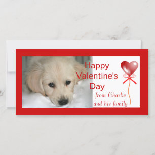 Happy Valentine's Day Dog Photo Cards