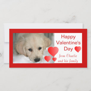 Happy Valentine's Day Dog Photo Cards