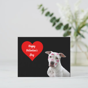 Happy Valentine's Day Dog postcard