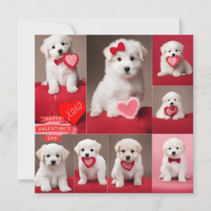 Happy Valentine's Day Dogs  Holiday Card