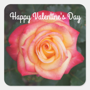 Happy Valentine's Day Dream Come True Rose #1 Square Sticker