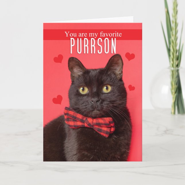 Happy Valentine's Day Favorite PURRson Cute Cat Holiday Card (Front)