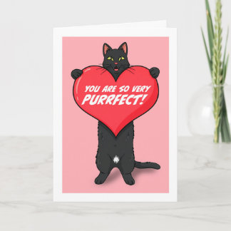 Happy Valentines Day For Anyone Cat Holding Heart  Holiday Card