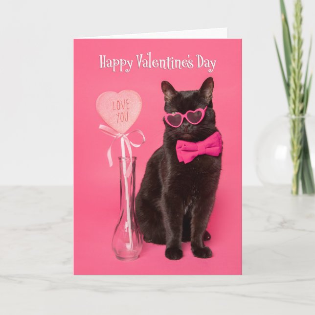 Happy Valentines Day For Anyone Cute Cat in Heart  Holiday Card (Front)