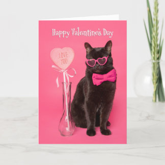 Happy Valentines Day For Anyone Cute Cat in Heart  Holiday Card