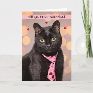 Happy Valentines Day For Anyone Cute Cat in Tie  Holiday Card