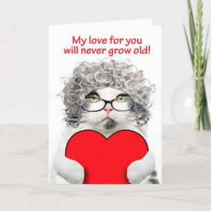 Happy Valentines Day For Anyone Senior Cat Love  Holiday Card