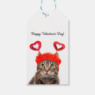 Happy Valentine's Day For Anyone Tabby Cat   Gift Tags
