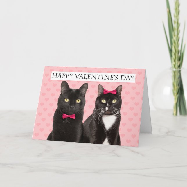 Happy Valentine's Day For Couple Two Cats Humor  Holiday Card (Front)