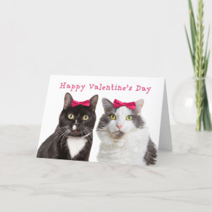 Happy Valentine's Day For Female Friend Girl Cats Holiday Card