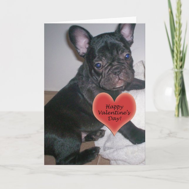 Happy Valentine's Day French Bulldog Card (Front)