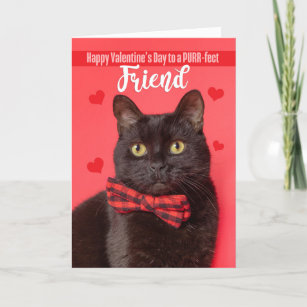 Happy Valentine's Day Friend Cute Cat in Bow Tie Holiday Card