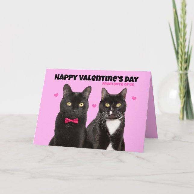 Happy Valentine's Day From Both of Us Cute Cats on Holiday Card (Front)