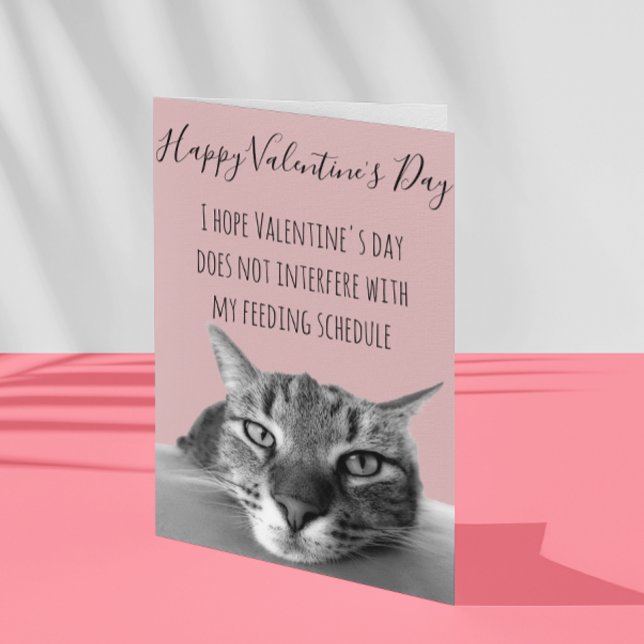 Happy Valentine's Day From Cat To Human Humour Card (Creator Uploaded)