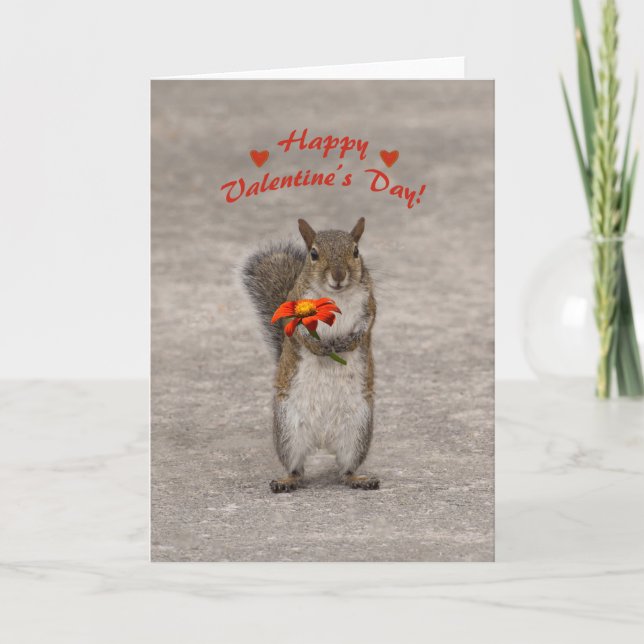 Happy Valentines Day from cute Squirrel Holiday Card (Front)