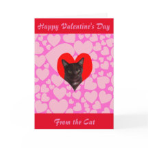 Happy Valentine's Day From The Cat (Black Cat)