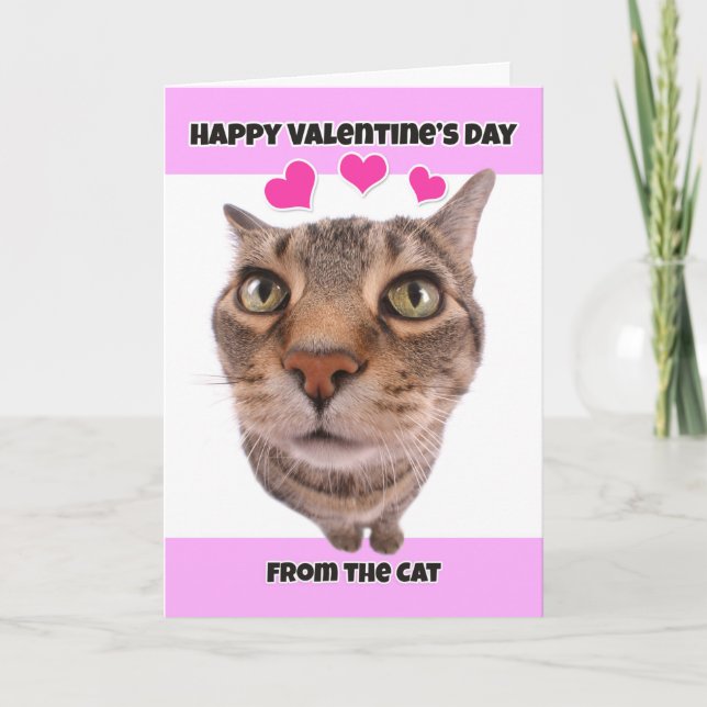 Happy Valentine's Day from the Cat Humour Holiday Card (Front)