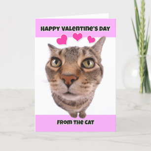 Happy Valentine's Day from the Cat Humour Holiday Card